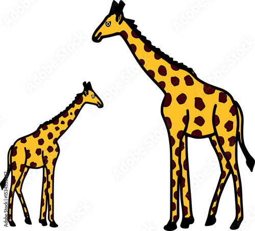 Giraffe and Baby vector illustration