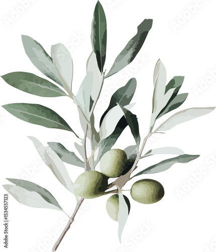 Elegant watercolor illustration of an olive branch with leaves and green olives