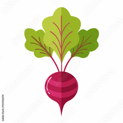 Minimal Beetroot Blossom Design