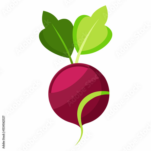 Minimal Beetroot Blossom Design