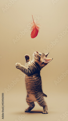 Cat with ball