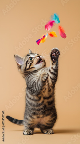 Cat with ball