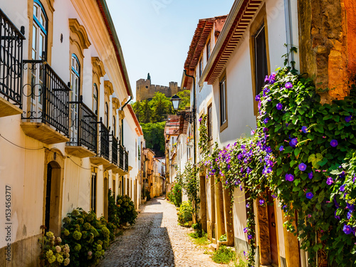 Picturesque cobblestone alley ornated with summer flowers, leading to the famous convent of Christ, Tomar, Santarem district, Portugal 