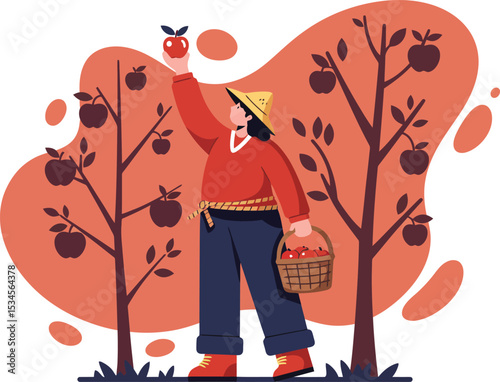Woman harvesting apples from orchard trees with basket in autumn season vector illustration 