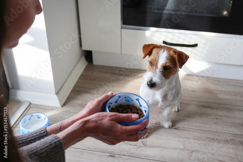 Young woman feeding her dog. Copy space, background.