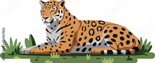 Leopard resting on grass in natural habitat with green plants vector illustration 