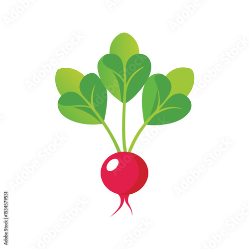 Vibrant Radish Illustration A Fresh, Healthy Vegetable Design