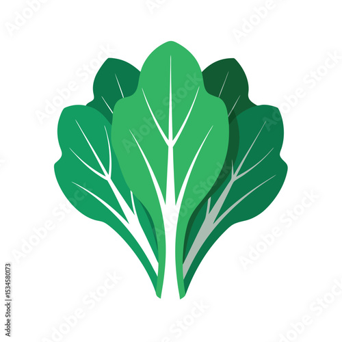 Vibrant Green Leafy Vegetables Fresh, Healthy, and Nutritious