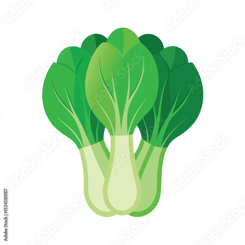 Vibrant Green Bok Choy Fresh, Healthy, and Delicious Vegetable