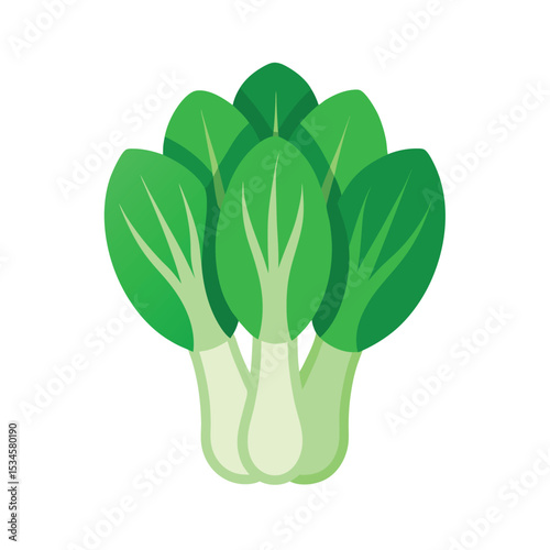 Vibrant Bok Choy Illustration Fresh Greens, Healthy Eating