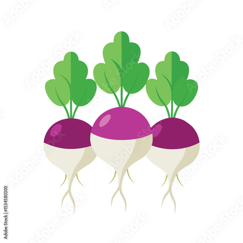 Vibrant Turnips A Fresh Harvest of Purple and White Root Vegetables