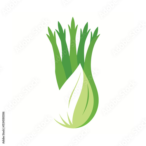 Fresh Fennel Bulb A Vibrant Illustration of Healthy, Organic Produce