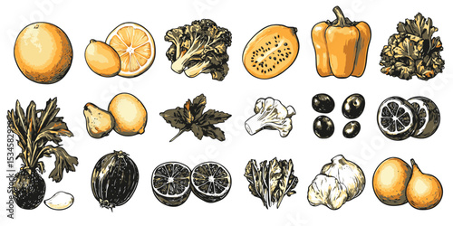 Food scraps for compost bin illustration featuring various fruits and vegetables in vector style