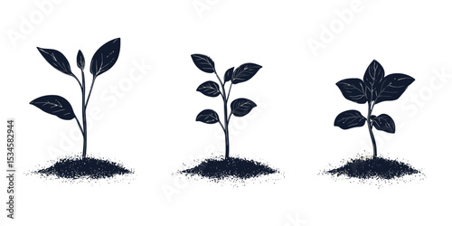 Summer vegetable seedling shadows in a minimalist style showcasing growth stages of plants
