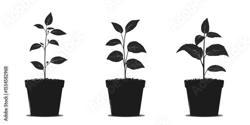 Variations of seedling pot shadow silhouettes in vector format for creative projects
