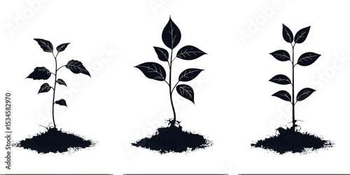 Growth stages of seedlings represented in 2D silhouette form showcasing gradual development