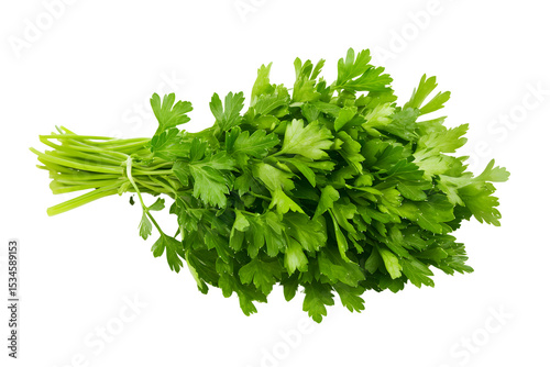 Bunch of parsley leaves  isolated on transparent background