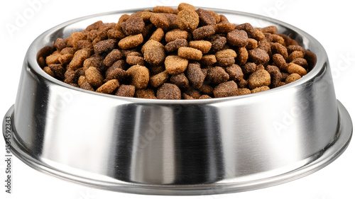 Close-up view of a filled stainless steel pet bowl with dry dog food on a background showcasing pet nutrition and healthy pet food choices.