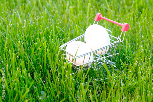 eggs in grocery cart on green grass background, eco food concept, healthy eating.