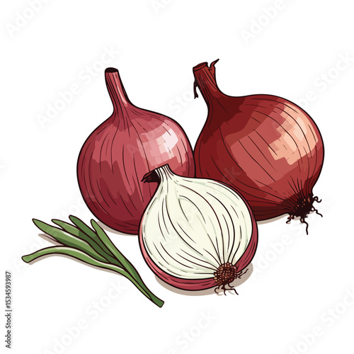 Illustration of Onion Vegetable showcasing Nutrition and Vitamin Content in Line Art Style Vector Graphic