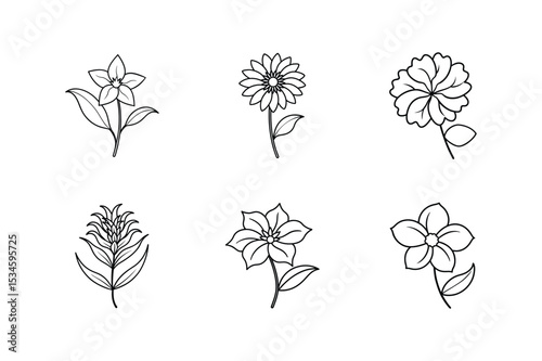 Line art vector illustration set of primrose gaillardia geranium grevillea heliotrope honesty Line Art Vector illustration
