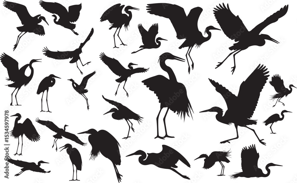 Obraz premium Egret Silhouettes Vector Pack