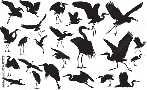 Egret Silhouettes Vector Pack