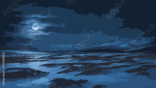 Tundra at night