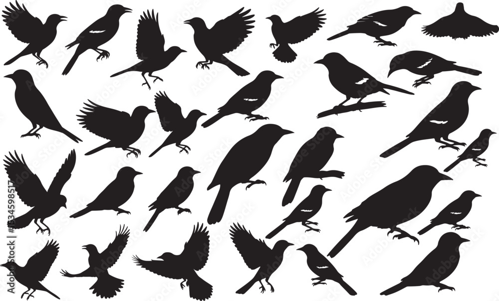 Oriole Silhouettes Vector Pack