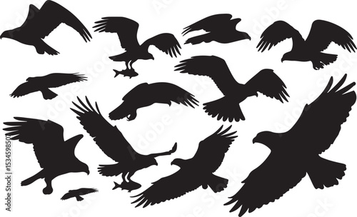 Osprey Silhouettes Vector Pack