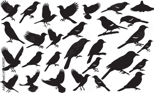 Oriole Silhouettes Vector Pack