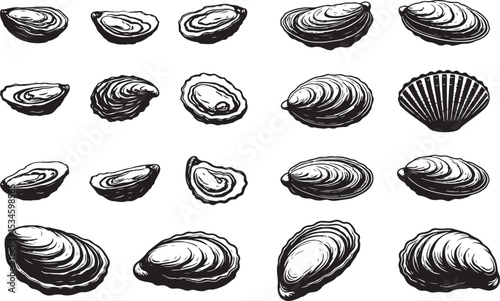 Oyster Silhouettes Vector Pack