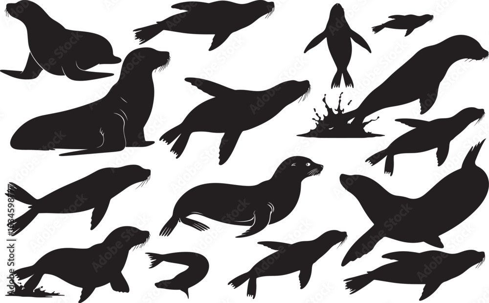 Obraz premium Sea Lion Silhouettes Vector Pack