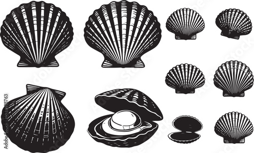 Scallop Silhouettes Vector Pack