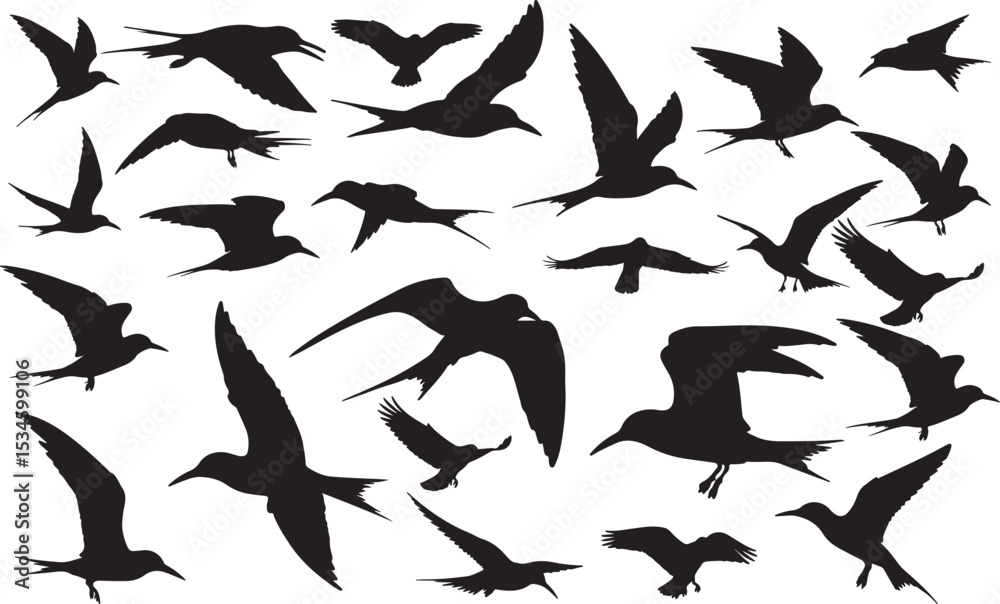 Obraz premium Tern Silhouettes Vector Pack