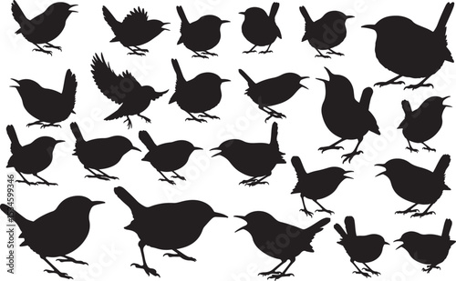 Wren Silhouettes