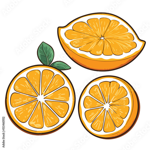 Vibrant Orange Slices Fruits Isolated Cartoon Vector Illustration for Designs