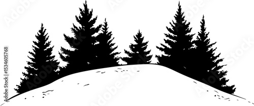 silhouette of pine trees on snowy hill