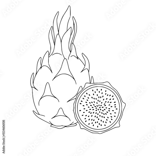Dragon fruit and cross-section design illustration in minimalistic black and white outline design  