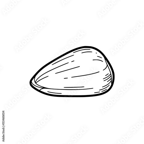 Line Icon of a Pine Nut in Minimalist Black and White Design  