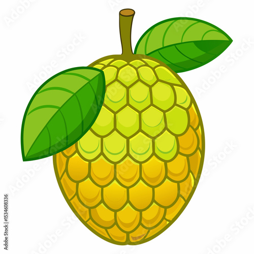 Minimal Jackfruit Vector on White