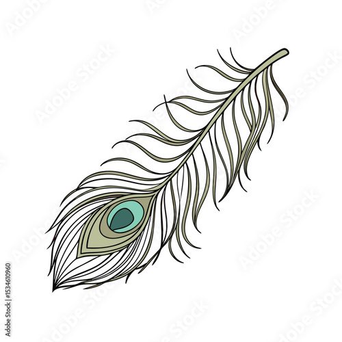 Vibrant and Detailed Illustration of a Single Peacock Feather - Ideal for Elegance, Nature, and Decorative Design Projects