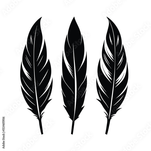 Set of Three Stylized Black Feather Silhouettes with Intricate Details - Ideal for Indigenous, Native American, Bird, and Artistic Designs