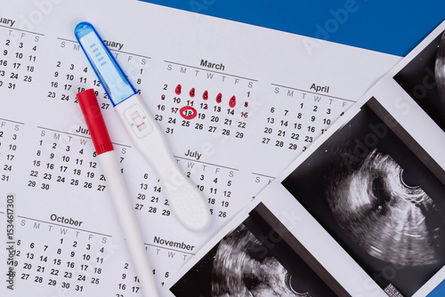 Positive pregnancy test, gynecological ultrasound image and ovulation calendar marked with menstruation and ovulation dates. Fertility tracking, family planning, maternal health, and prenatal care.