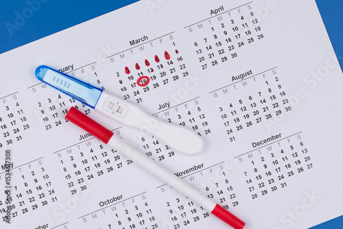 Positive pregnancy test, gynecological ultrasound image and ovulation calendar marked with menstruation and ovulation dates. Fertility tracking, family planning, maternal health, and prenatal care.