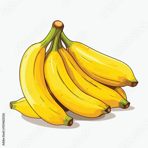Fresh Sweet Bananas Fruits Vector Illustration for Healthy Diet Concepts