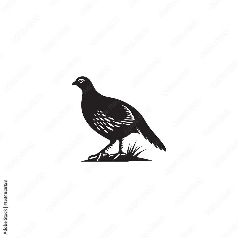 Fototapeta premium Chukar Partridge Silhouette Vector Design – Elegant Game Bird Artwork Featuring Distinctive Stripes, Bold Stance, Minimal Black Outline Style Perfect for Nature Prints, Logos, and Decor 