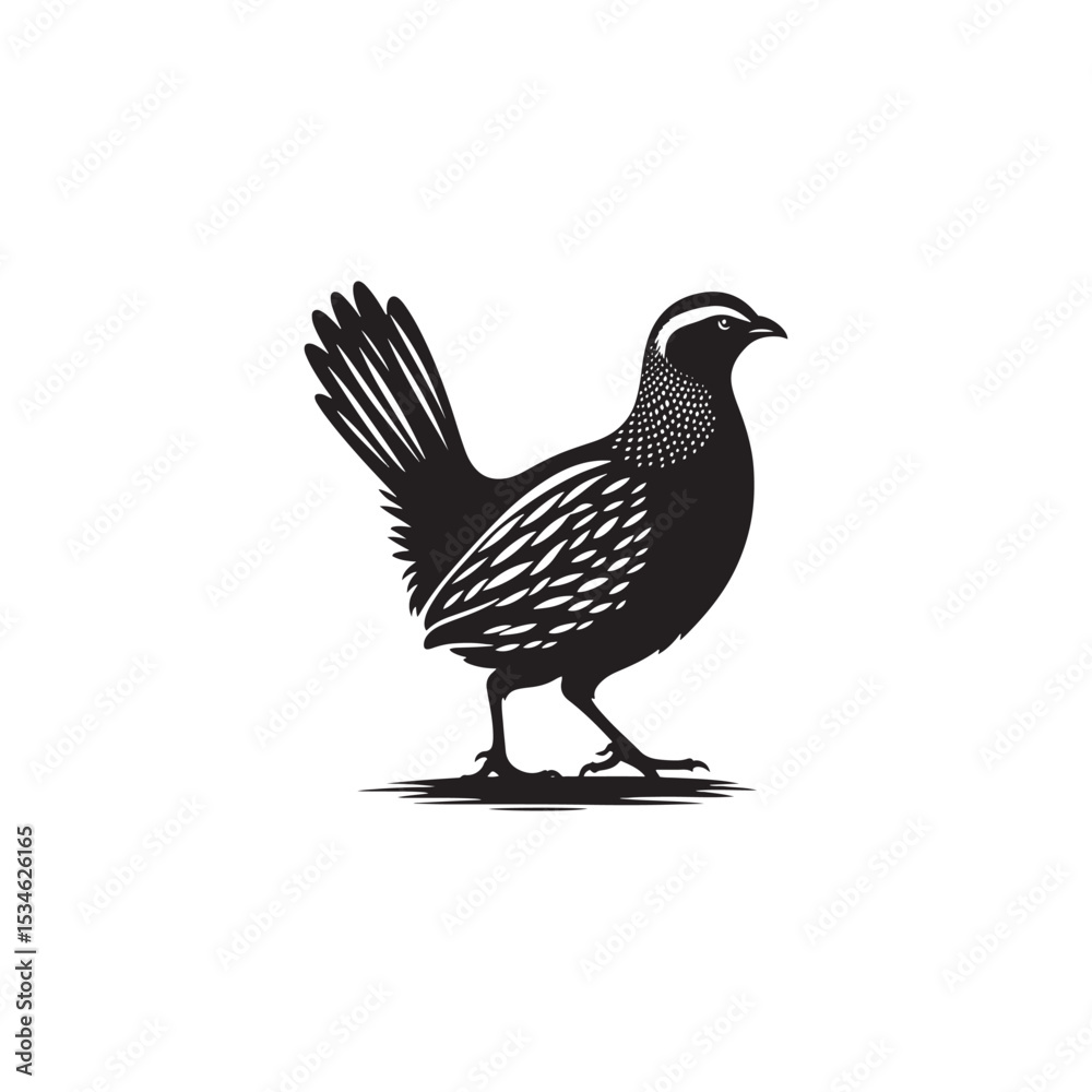 Obraz premium Chukar Partridge Silhouette Vector Design – Elegant Game Bird Artwork Featuring Distinctive Stripes, Bold Stance, Minimal Black Outline Style Perfect for Nature Prints, Logos, and Decor 