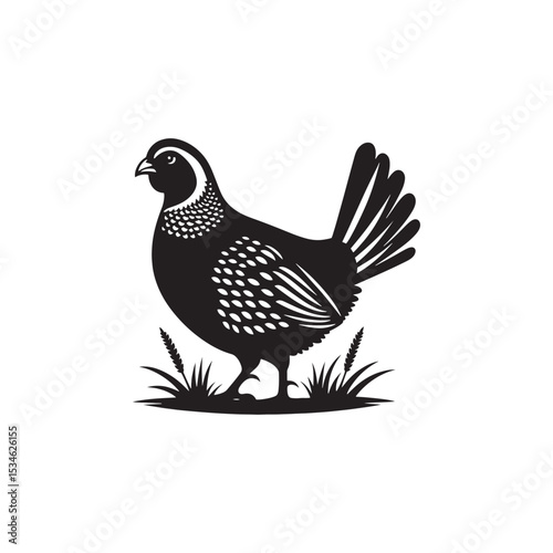 Chukar Partridge Silhouette Vector Design – Elegant Game Bird Artwork Featuring Distinctive Stripes, Bold Stance, Minimal Black Outline Style Perfect for Nature Prints, Logos, and Decor
