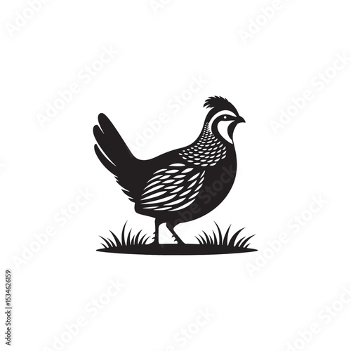 Chukar Partridge Silhouette Vector Design – Elegant Game Bird Artwork Featuring Distinctive Stripes, Bold Stance, Minimal Black Outline Style Perfect for Nature Prints, Logos, and Decor
